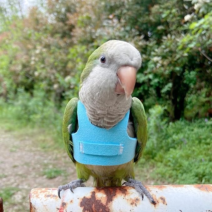 Bird Flight Harness Vest, Parrot Flight Suit with Leash for Parakeets Cockatiels Conures Budgies, Bird Flying Clothes with Rope and Handle for Outdoor Activities Training (S, Blue)