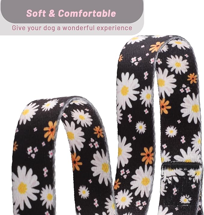 QQPETS Adjustable Soft Dog Collar: Print Flower Pink Multicolor Cute Patterns for XS Small Medium Large Pet Girl Boy Puppy Walking Running Training (XS, White Daisy)