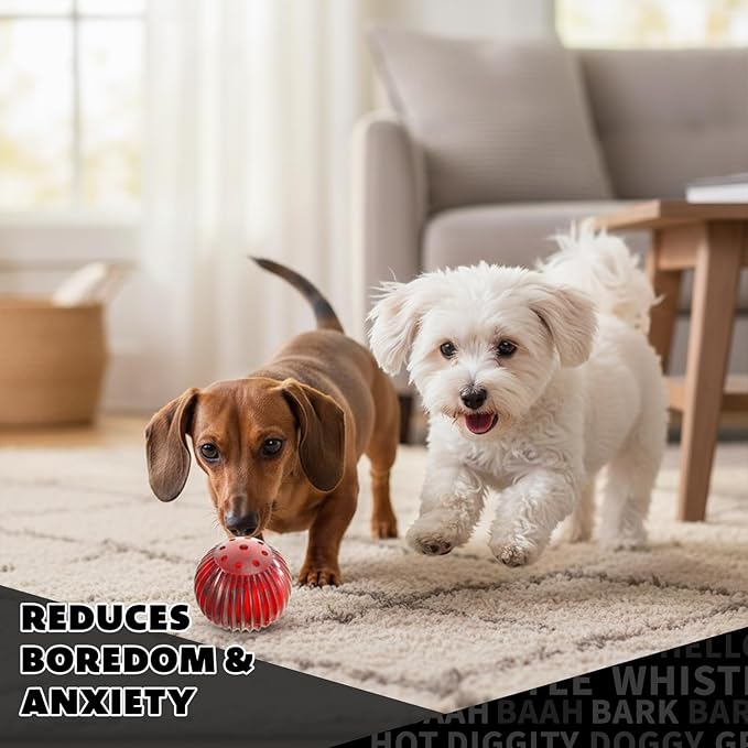 Pet Qwerks Blinky Babble Ball - Flashing Interactive Chew Dog Toy - Medium