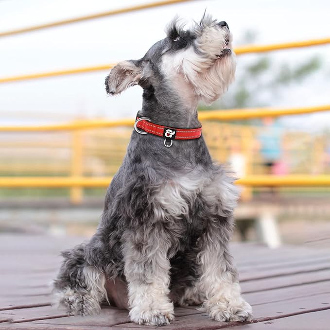 azuza Reflective Dog Collar,Soft Neoprene Padded Pet Collar with ID Tag Ring,Adjustable for Small Dogs,Red,S