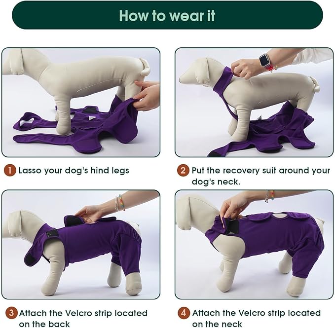 Kuoser Thigh Wound Sleeve for Dogs, Dog Recovery Sleeve for Back Legs, Pet Surgical Suit for Large Medium Small Dogs, Purple