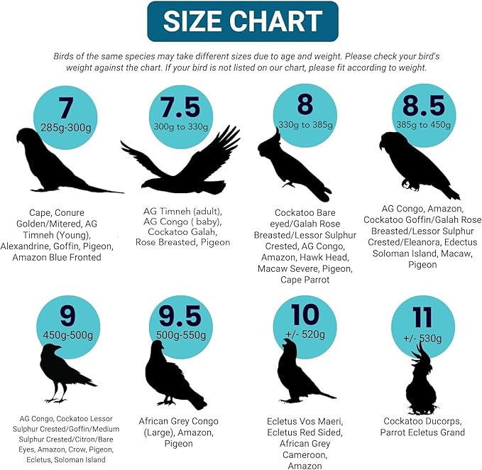 Bev's Bird Boutique Regular Flyper Adjustable Bird Diaper | Reusable, Washable Cloth | Comfort Fit for Parrot, Cockatiels, & Other Small Birds | Fashionable Avian Accessories, Pirate, Size 6.5
