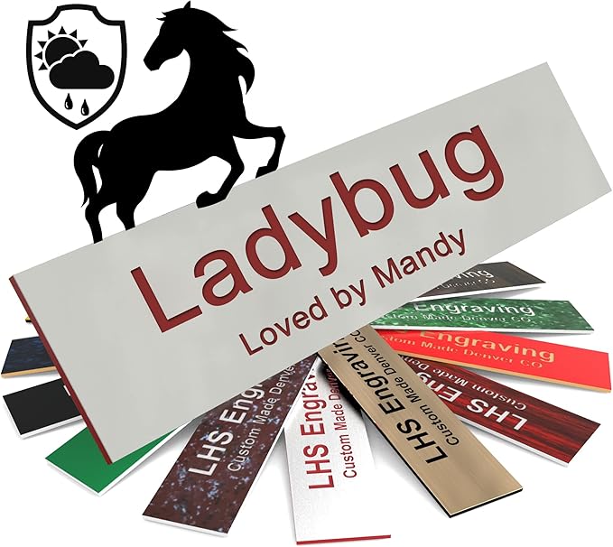 Horse Stall Name Plate, 2x6 Personalized Stall Signs, UV Protected, All Weather Adhesive, Hanging, Mounting or Other, Gray Plastic with Maroon Letters - Made in USA - B21