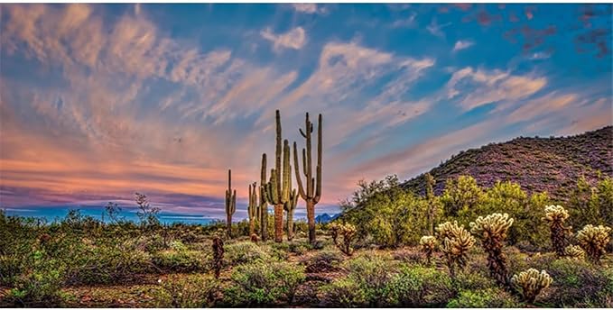 AWERT 48x18 inches Terrarium Background Blue Sky Cloud Huge Cactus Oasis Gobi Reptile Habitat Background Vinyl