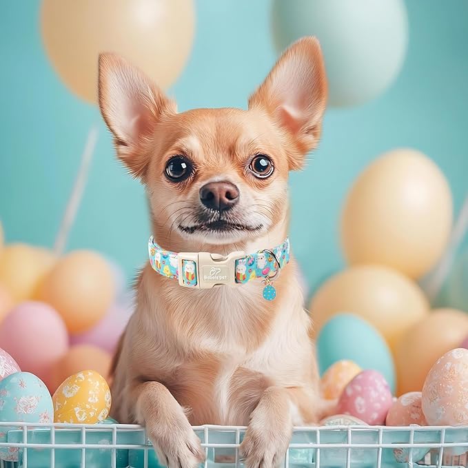 Easter Dog Collar for Medium Dogs - Cute Easter Egg Hunt Dog Collars for Boy Girl Dogs, Playful Bunny & Chick Print, Lightweight Adjustable Spring Holiday Dog Collar M