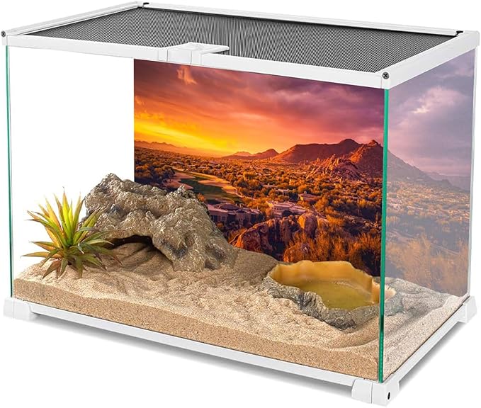 AWERT 30x18 inches Sun and Desert Terrarium Background Mountain Oasis Gobi Reptile Habitat Background Vinyl