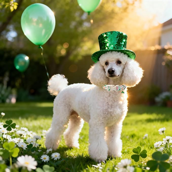 St Patricks Day Dog Collar for Small Dogs - Cute Pastel Lucky Clover Dog Collars, Lightweight Adjustable Irish Green Festival Dogs Collars with Quick Release Buckle S