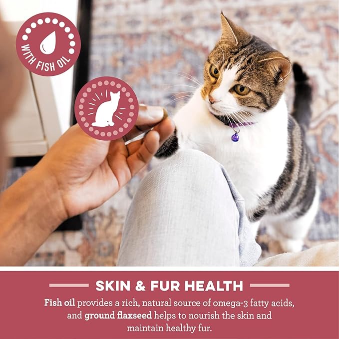 Greenies Feline Smartbites Skin & Fur Crunchy and Soft Natural Cat Treats, Salmon Flavor, 4.6 oz. Pack (Pack of 2)