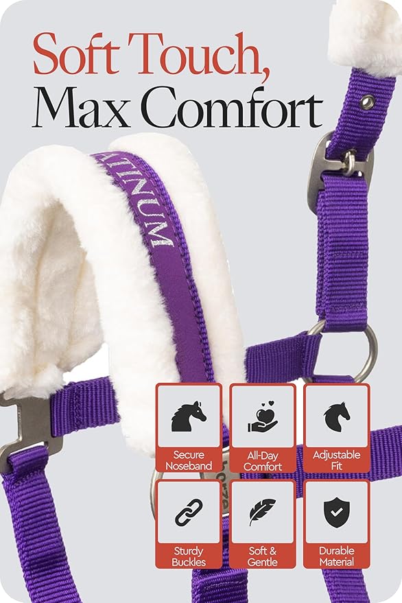 HORZE Howard Soft Fleece Padded Adjustable Polyester Horse Halter - Purple - Warmblood