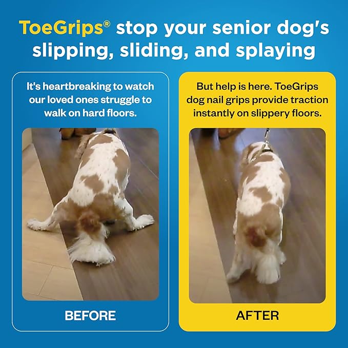 Dr Buzby's XSmall ToeGrips for Dogs - Instant Traction on Wood/Hardwood Floors - Anti Slip Relief - Grippers for Senior Dogs - Stop Sliding Instantly - Rubber Nails for Paws - 1 Pack (20 Grips)