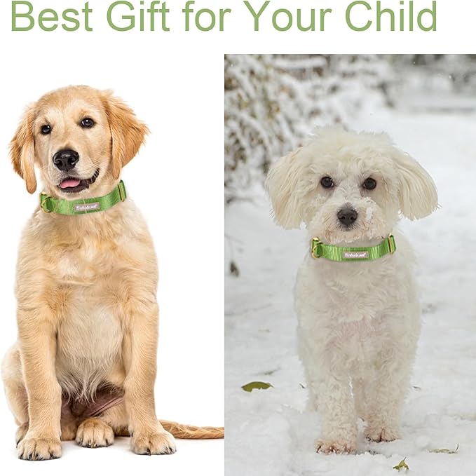 Nylon Dog Collar - Adjustable Green Soft Webbing Dog Collars for Small Medium Large Dogs Boy Girl Puppy Collar with Safety Metal Buckle XS