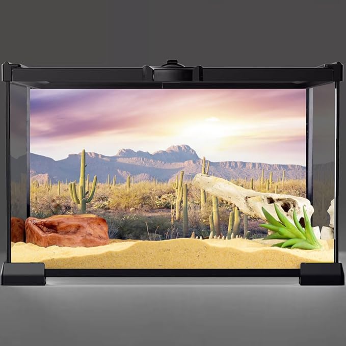 AWERT Reptile Habitat Background Blue Sky Oasis Mountain Cactus Sun and Desert Terrarium Background 30x18 inches