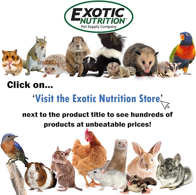 Nectar Pods (Variety 4 Pack) - Calcium-Fortified Jelly Fruit Treat - Sugar Gliders, Marmosets, Squirrels, Parrots, Cockatiels, Parakeets, Birds, Hamsters, Day Geckos, Kinkajous & Other Small Pets