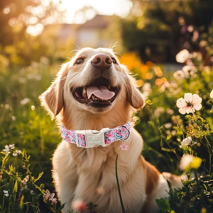 Floral Dog Collar, Cute Girl Dog Collars - Pastel Wildflowers Pattern Spring Summer Puppy Collar, Adjustable Female Dog Collars for Small Medium Large Dogs S