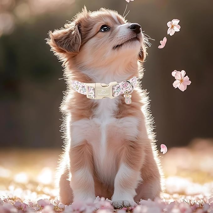 Easter Dog Collar for Giant Large Dogs - Easter Egg Pastel Dog Collars, Cute Girl Dogs Collar, Lightweight Adjustable Pink Spring Holiaday Dog Collars with Quick Release Bucklee XL