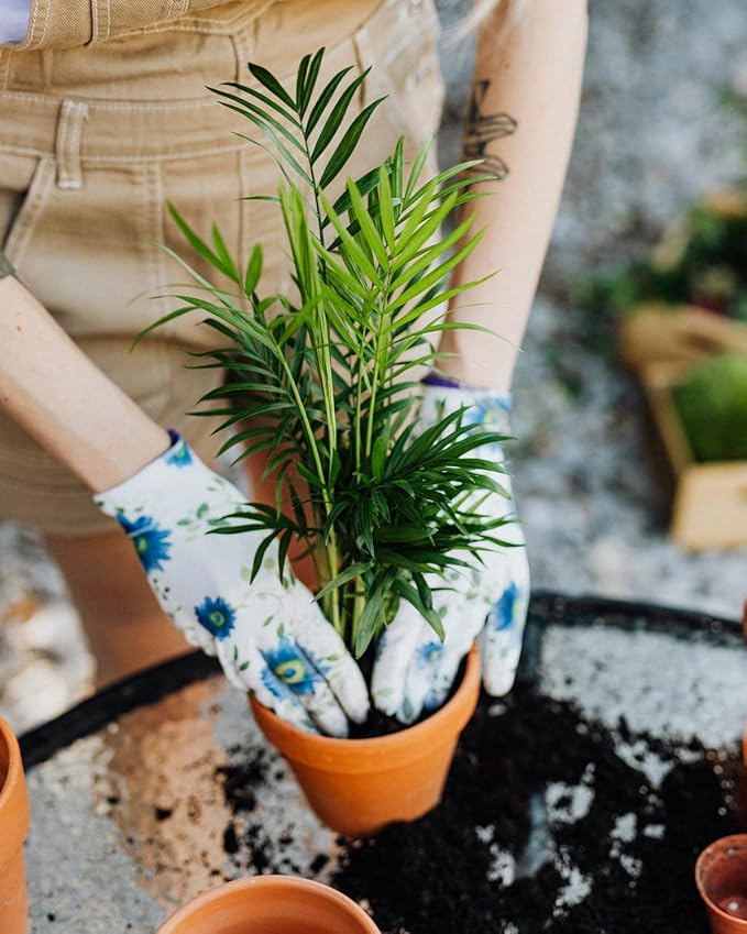 Gardenera's Expert Blend for Peace Lilies: Canadian Peat Moss, New Zealand Bark, Perlite, Bamboo Charcoal Ideal for Indoor Plants - [1-Quart Bag]
