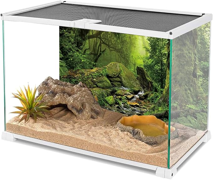 AWERT Tropical Forest Terrarium Background Stream Green Huge Tree Reptile Habitat Background Foggy Rainforest Aquarium Background 24x12 inches Polyester Background