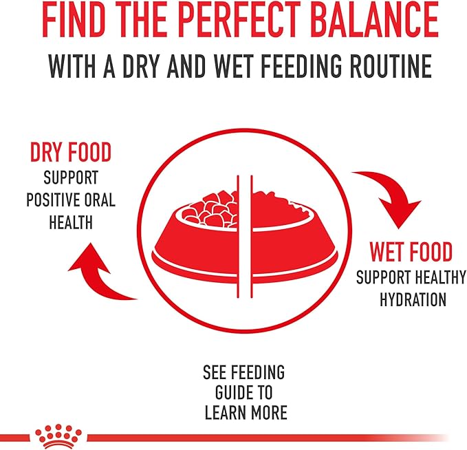 Royal Canin Aging 12+ Thin Slices in Gravy Canned Cat Food, 3 Oz Can (6-Pack)
