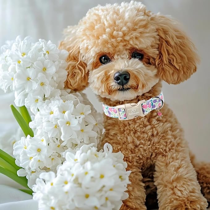 Floral Dog Collar for Small Dogs - Pink Purple Tulips Print Dog Collars, Spring Summer Cute Flower Puppy Collar, Lightweight Adjustable April Holiday Boy Girl Dogs Collars XS