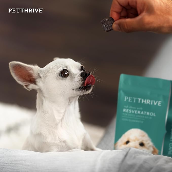Dog Hip and Joint Support Supplement Soft Chews with Resveratrol, Glucosamine, Chondroitin, Hyaluronic Acid, Bacon Flavor, Small Breed