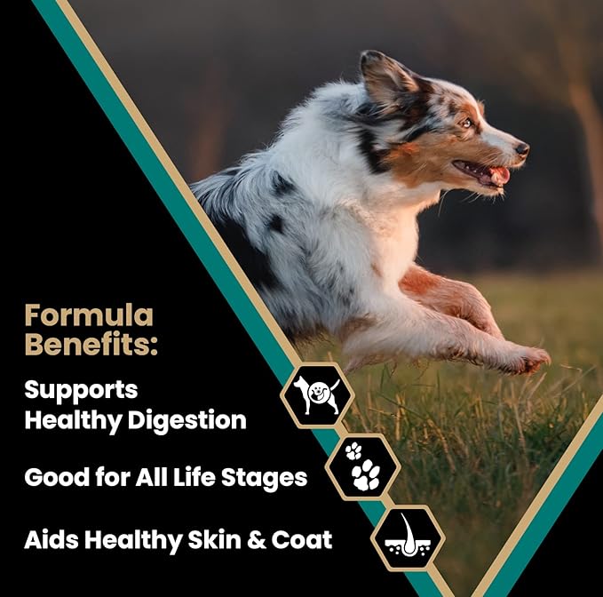 VICTOR Super Premium Dog Food – Select Ocean Fish Formula with Salmon – Omega-3 and Omega-6 Enriched Gluten-Free Dry Kibble for All Normally Active Dogs of All Life Stages, 15lbs