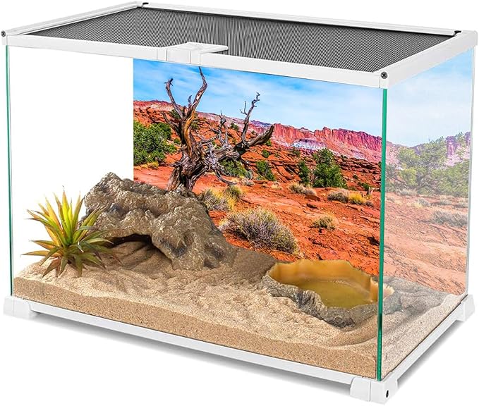 AWERT 72x24 inches Reptile Habitat Background Blue Sky Oasis Orange Desert Terrarium Background Durable Polyester Background
