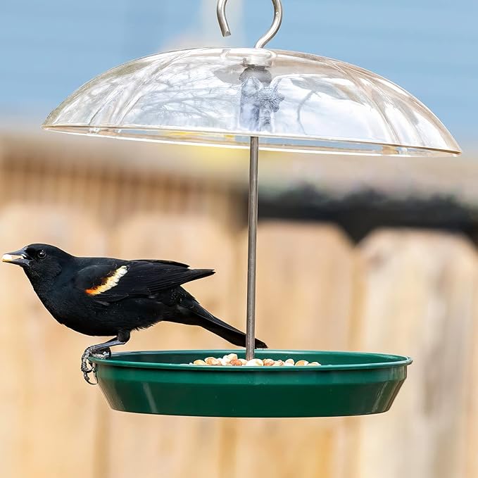 Kingsyard Adjustable Platform Bird Feeder for Outdoors Hanging, Metal Tray Bird Feeder with Dome Top, Attract Bluebirds Cardinals Goldfinches (Green)