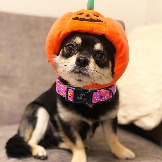 Halloween Dog Collar, Cute Pumpkin Bat Pattern Halloween Purple Puppy Collar, Soft Adjustable Cotton Dog Collars for Small Medium Large Boy&Girl Dogs M