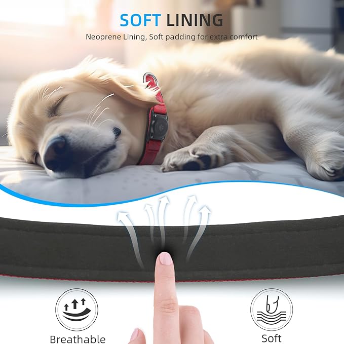 Reflective Air Tag Dog Collar - 100% Waterproof Dog Collar AirTag Holder | Extra-Durable, Soft Padded AirTag Dog Collars for Small Medium Large Dogs