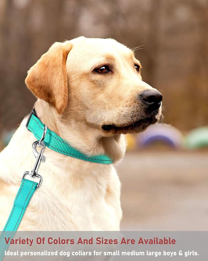 Reflective Dog Collar with Buckle Adjustable Safety Nylon Collars for Small Medium Large Dogs, Teal XXS