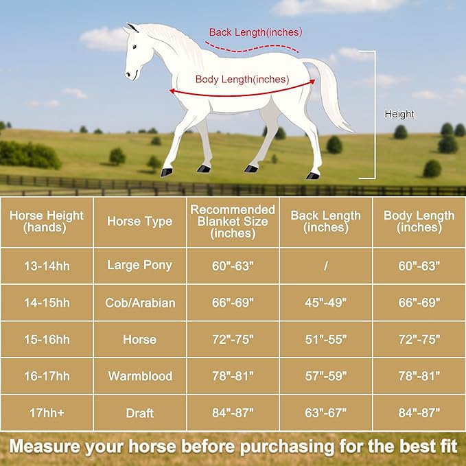 Horse Fleece Cooler, Blanket Liner - 300g Anti-Pilling Fleece, Moisture-Wicking, Cooling & Drying for Post-Workout, Bath & Travel, Prevent Overheating & Chilling Black 75