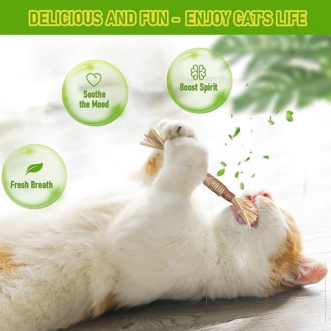 BAWAN Catnip Toys‖ Silvervine for Cats: Cute Cat & Kitten Toys for Indoor Cats Interactive‖ Cat & Kitten Teething Chew Toys for Aggressive Chewers‖ Silvervine Sticks Ca.t Dental Toy (3PCS)