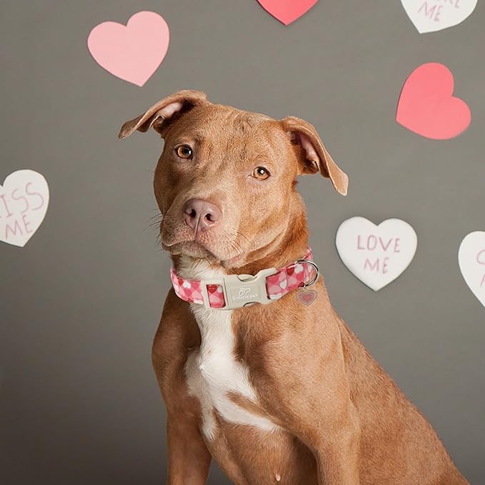 Valentines Dog Collar for Large Dogs - Cute Valentine Pink Hearts Girl Dog Collars, Adjustable Girly Puppy Collar with Quick Release Buckle for Female Dogs L