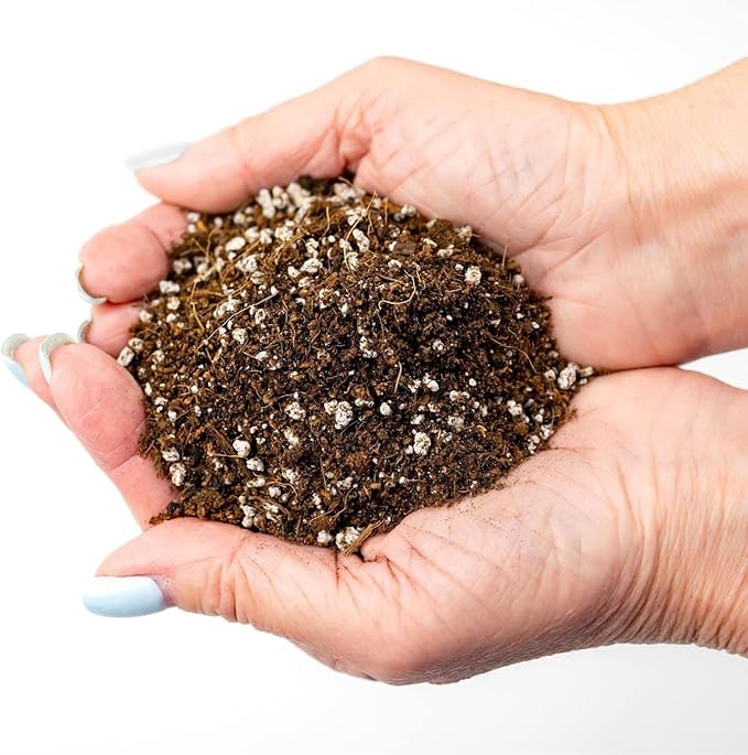 GARDENERA Premium Organic Potting Soil - 4 Quart - The Ideal Growing Medium for Delicious and Nutritious Homegrown Potatoes