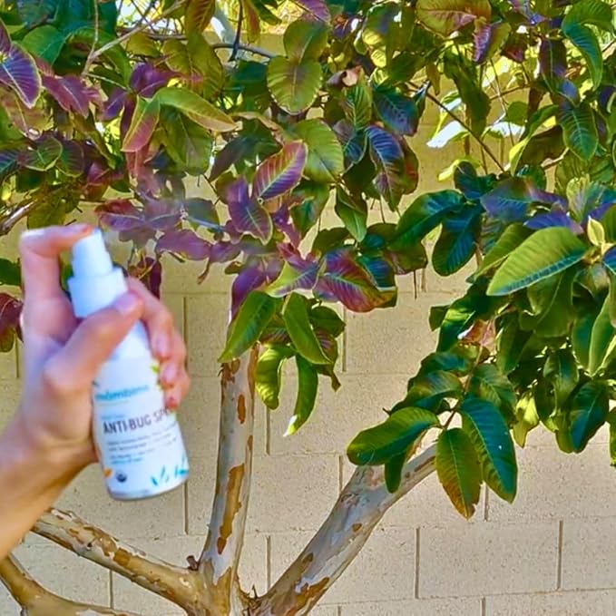 Anti-Bug Spray DEET-Free – Organic, All-Natural Bug Spray Travel Size with Essential Oils – Non-Toxic, Reef Safe, Face-Safe Bug Repellent for Babies, Kids, Adults by Mambino Organics, 4oz 3-Pack