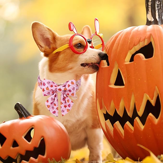 Halloween Pumpkin Dog Collar with Bow Tie, Pink Halloween Puppy Bowtie Collar with Adjustable Metal Buckle,Fancy Dog Collar Bowtie for Girl Boy Dog,L