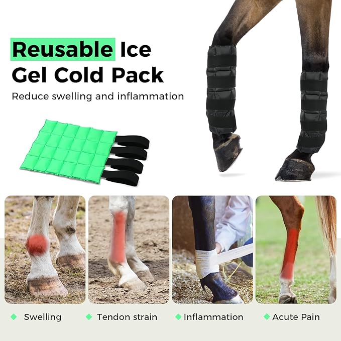 Reusable Gel Horse Ice Boots (Set of 4) - Adjustable Leg Wraps for Cooling Relief on Hocks, Knees & Ankles, Durability & Cooling in Active Horses