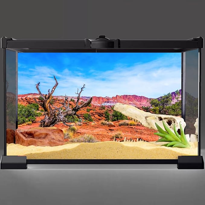 AWERT 36x24 inches Reptile Habitat Background Blue Sky Oasis Orange Desert Terrarium Background