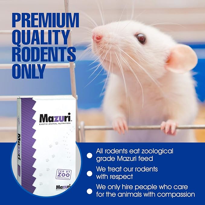 MiceDirect EST. 2003 125 Frozen Mice Weanling Feeders Snake Food for Juvenile Red Tail Boas Ball Python Adult Milk Snakes Corn Sand Boa (2-2.5 in) (1625 Grams Min)