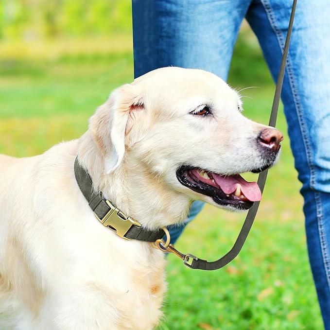 Genuine Leather Dog Collar - Adjustable Pet Collar with Quick Release Metal Buckle, Soft Skin Friendly Real Leather Collar for Small, Medium, Large Dogs (Dark Green Collar + Rope, S：Fit 8-16" Neck)