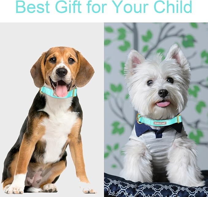 Nylon Dog Collar - Adjustable Lake Blue Soft Webbing Dog Collars for Small Medium Large Dogs Boy Girl Puppy Collar with Safety Metal Buckle M
