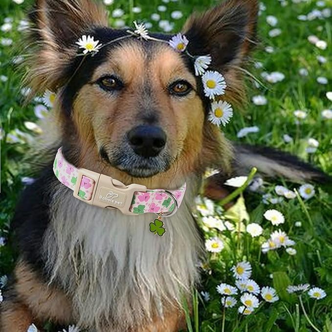 St Patricks Day Dog Collar for Giant Large Dogs - Cute Light Pink Shamrock Girl Dog Collars, Adjustable Irish Clover Puppy Collar with Quick Release Buckle XL