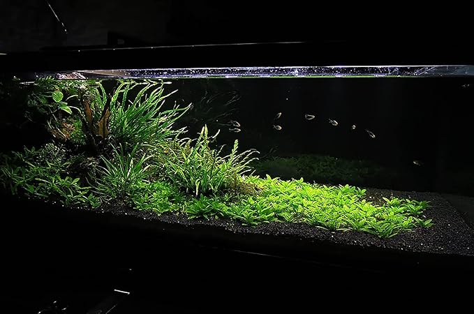 Ultum Nature Systems Controsoil - Freshwater Aqua Soil Substrate for Fish, Shrimp, Live Plant Propagation and Aquascaping - 6.8pH Low Ammonia, Volcanic Ash - Black, Normal (10 Liter | 20LB)