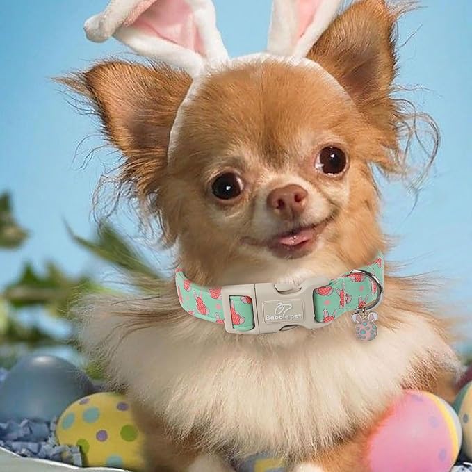 Easter Dog Collar for Medium Dogs - Green Bunny Egg Dog Collars, Cute Boy Girl Dogs Easter Collar, Adjustable Spring Holiday Pet Collars with Quick Release Buckle M