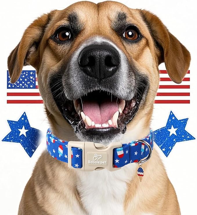 4th of July Dog Collar, Summer Popsicle Patriotic Dog Collars for Small Dogs, Adjustable Lightweight Quick-Release Buckle Collar for Boy&Girl Dogs S