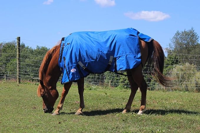 Derby Originals Nordic Tough 1200D Ripstop Waterproof Reflective Winter Horse Turnout Blanket 300g Heavy Weight, Royal Blue, 84"
