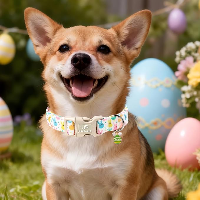 Easter Day Dog Collar, UP URARA PUP Easter Bunny Adjustable Pet Collar with Quick Release, Colorful Rabbits Dog Collars for Small Medium Large Dogs