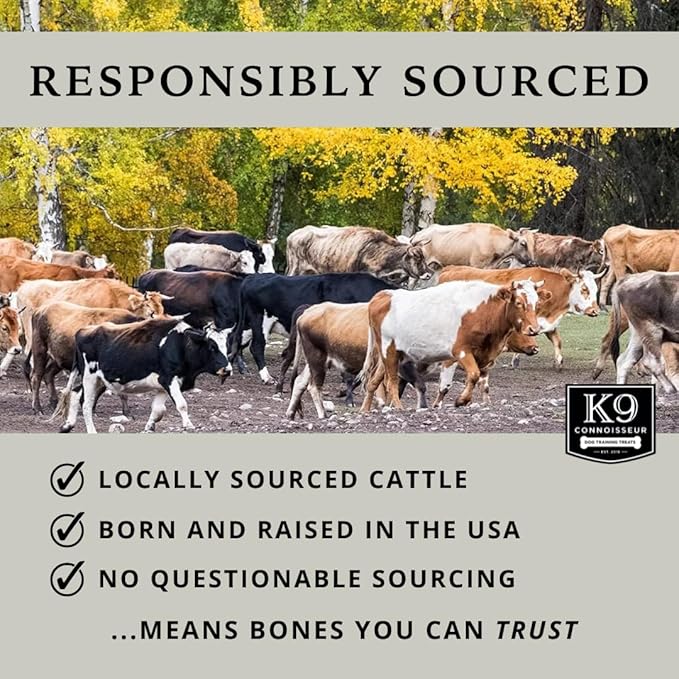 K9 Connoisseur Beef Marrow Rib Dog Bones Long Lasting 8 to 10 Inch Long - USA Made Single Ingredient for Medium Dogs Upto 50 Pounds - 16 Pack
