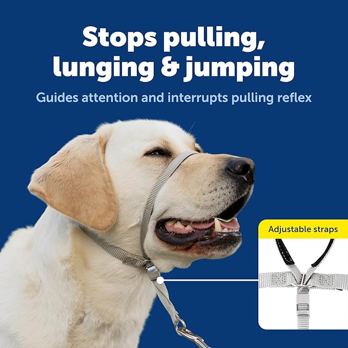 PetSafe Gentle Leader Headcollar No-Pull Dog Collar - Helps Improve Walks - Durable Nylon Construction - Padded Nose Loop - Adjustable Fit - Comfort Walking Halter - Medium, Royal Blue