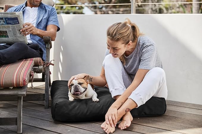 K9 Ballistics Tough Rectangle Pillow Dog Bed - Removable Cover, Washable, Durable & Water Resistant Bed for Big Dogs, Size: Large (40"x34"), Light Gray Velvet